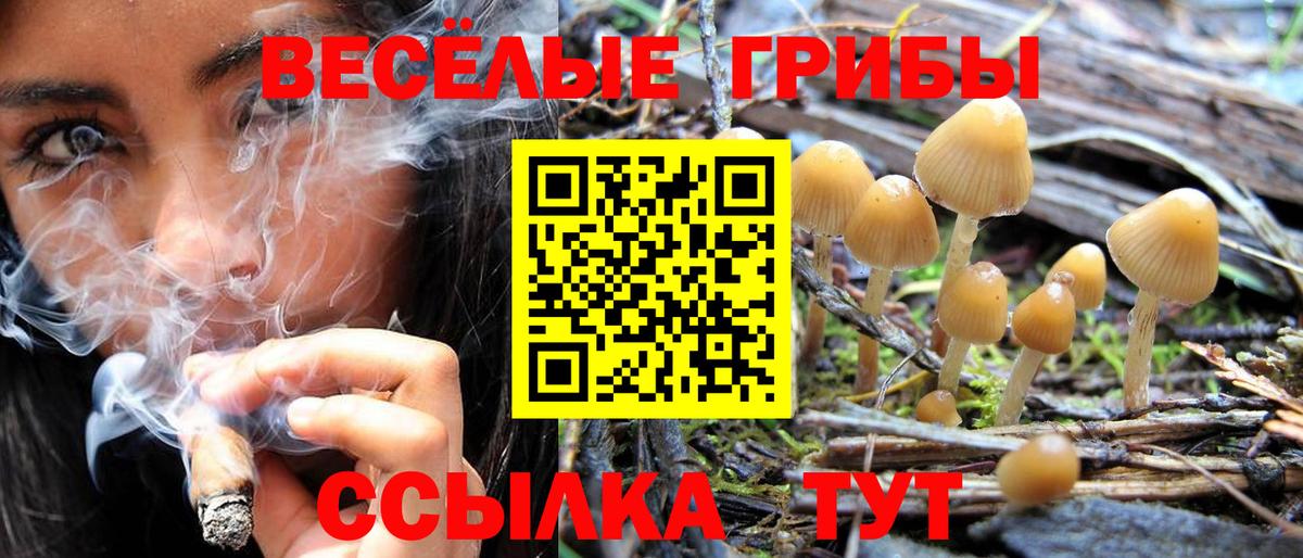 Псилоцибиновые грибы Psilocybine cubensis Хасавюрт